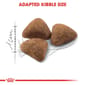 ROYAL CANIN CAT 400G INDOOR 27 Cat Dry Food ROYAL CANIN