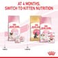 ROYAL CANIN CAT 4KG BABYCAT Cat Dry Food ROYAL CANIN