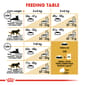 ROYAL CANIN CAT 4KG BRITISH SHORT HAIR Cat Dry Food ROYAL CANIN