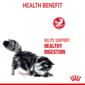 ROYAL CANIN CAT 4KG DIGESTIVE CARE Cat Dry Food ROYAL CANIN