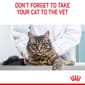 ROYAL CANIN CAT 4KG DIGESTIVE CARE Cat Dry Food ROYAL CANIN