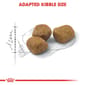 ROYAL CANIN CAT 4KG FIT32 Cat Dry Food ROYAL CANIN