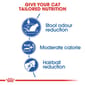 ROYAL CANIN CAT 4KG INDOOR 27 Cat Dry Food ROYAL CANIN