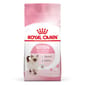 ROYAL CANIN CAT 4KG KITTEN36 Cat Dry Food ROYAL CANIN