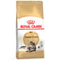 ROYAL CANIN CAT 4KG MAINECOON Cat Dry Food ROYAL CANIN