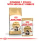 ROYAL CANIN CAT 4KG MAINECOON Cat Dry Food ROYAL CANIN
