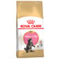 ROYAL CANIN CAT 4KG MAINECOON KITTEN Cat Dry Food ROYAL CANIN