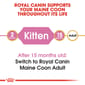 ROYAL CANIN CAT 4KG MAINECOON KITTEN Cat Dry Food ROYAL CANIN