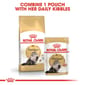 ROYAL CANIN CAT 4KG PERSIAN ADULT Cat Dry Food ROYAL CANIN