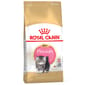 ROYAL CANIN CAT 4KG PERSIAN KITTEN Cat Dry Food ROYAL CANIN