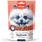 Wanpy Wanpy Salmon Stick100g 100g  正面圖