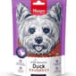 Wanpy Wanpy Duck Sausages100g 100g  正面圖